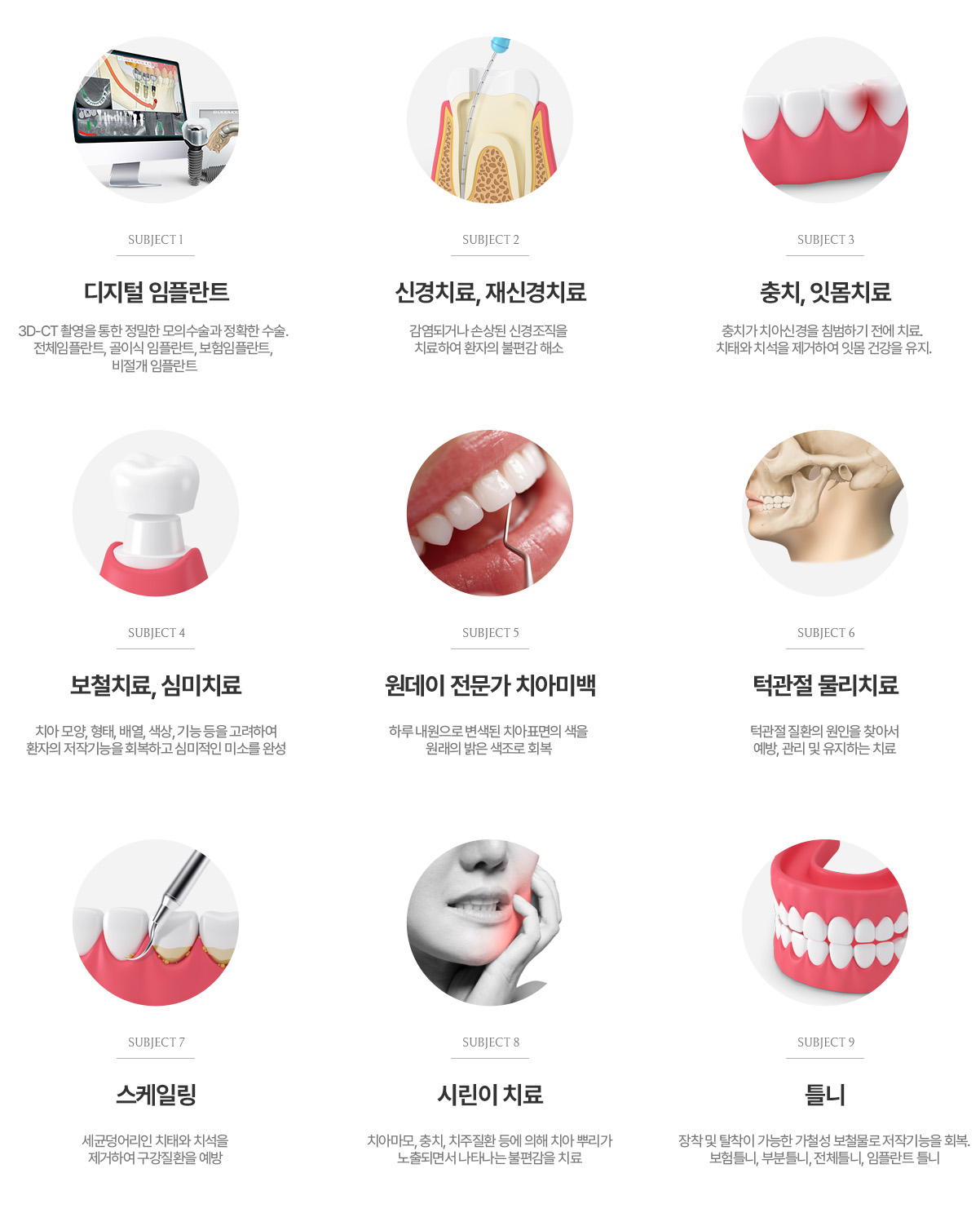 진료과목